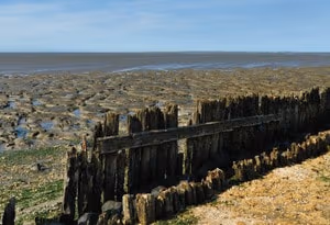 Côte des Wadden