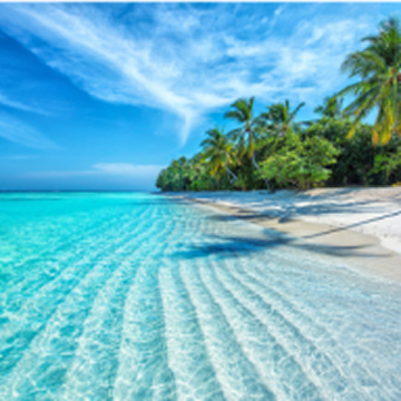 Vacances à la plage - 7 509 Appartements & Maisons de Vacances