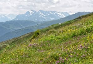 Première région de vacances du Zillertal