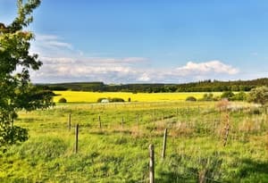 Région de vacances Treis-Karden