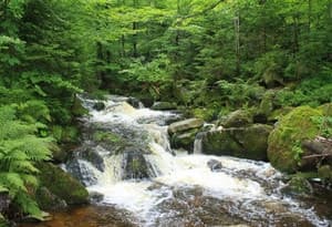 Région du parc national