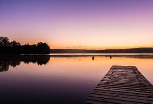 Lac Fleesense