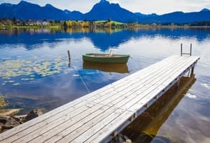 Houblon au bord du lac