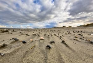 Îles des Wadden