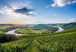 Région de vacances de Bernkastel-Kues