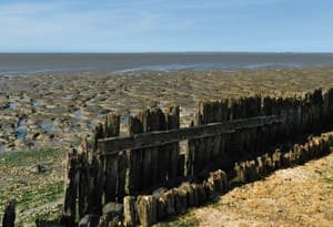 Côte des Wadden