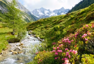 Tyrol